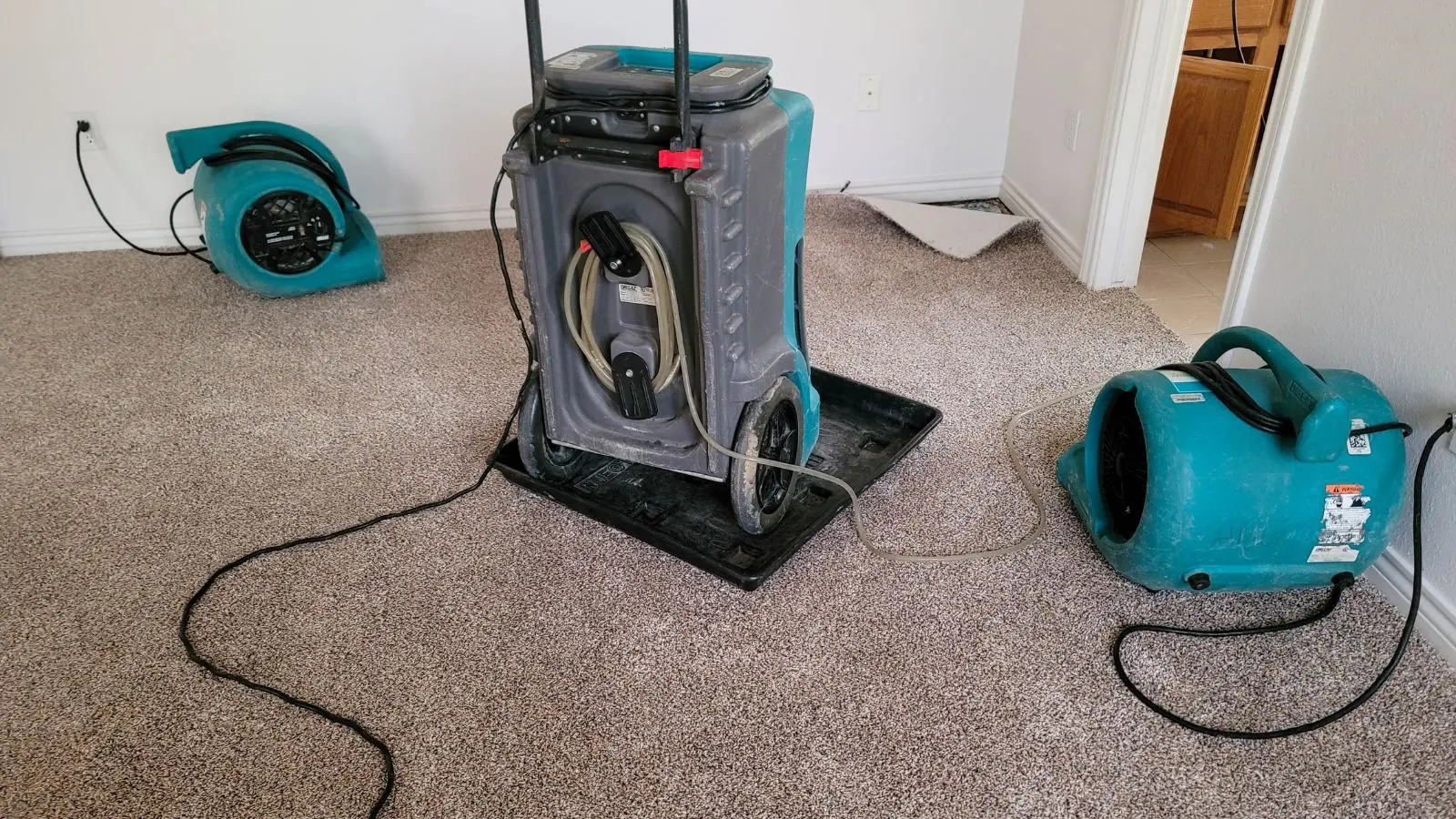 Commercial dehumidifier and air mover running on carpet to dry a water damaged room