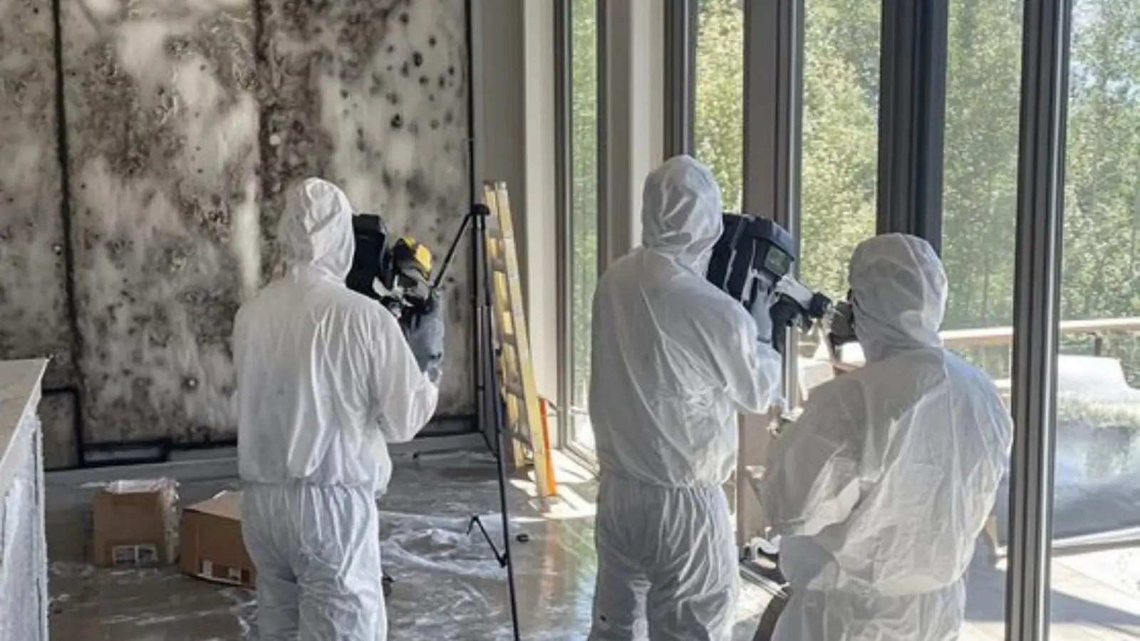 Team in protective suits carrying out an inspection with camera equipment in a room with mold on the wall
